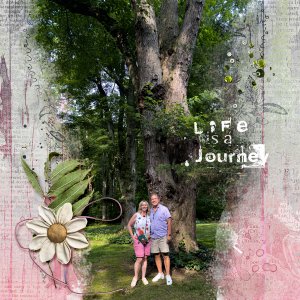 Life is a Journey