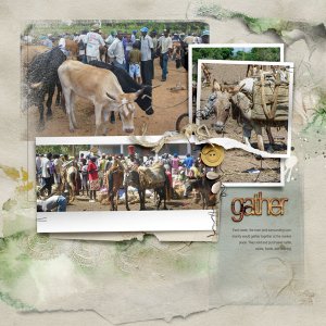 Haiti Market