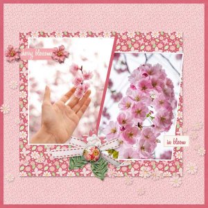 sakura-ninigoesdigi.jpg