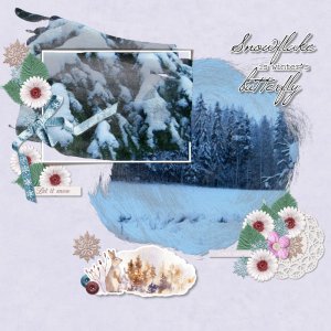 Winter memories.jpg