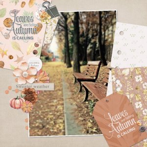 Colorful autumn.jpg