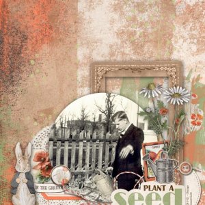 Mr-McGregors-Garden