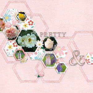 pretty flowers.jpg