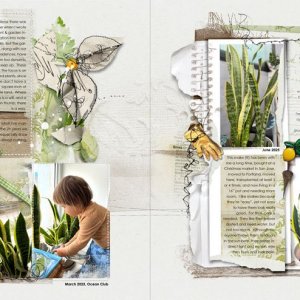 anna-aspnes-digital-scrapbook-flower-gardens-notions-fotoinspired-templates-3K