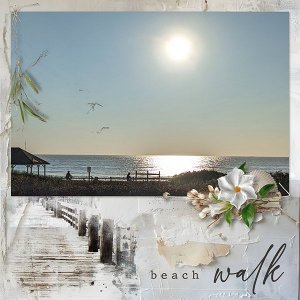 Beach Walk