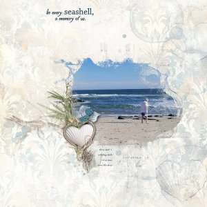 Collecting Seashells