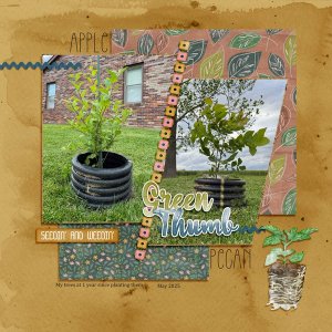 June-Challenge-3.jpg
