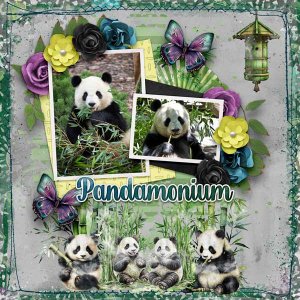 pandamonium-aimeeh-2025Birt.jpg