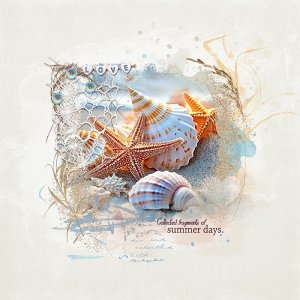Collected fragments of summer days