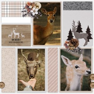 Petting zoo