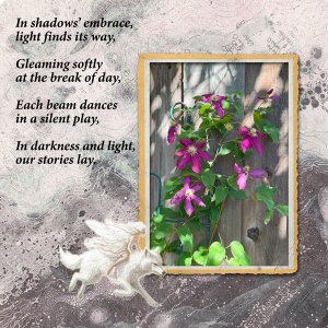 AWA_JuneChallenge_LightandShadow_janisn.jpg