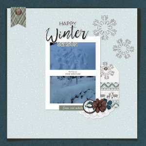 Winter pictures