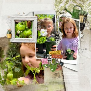 anna-aspnes-digital-scrapbook-garden-notions-nadams-the joy.jpg