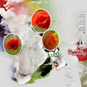 Poppies