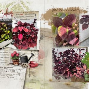 anna-aspnes-digital-scrapbook-flower-gardens-notions-fotoinspired-templates-3K-diane-2.jpg