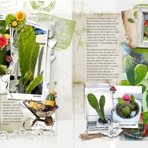 anna-aspnes-digital-scrapbook-flower-gardens-notions-fotoinspired-templates-3K-diane-3