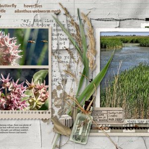 Alamosa Sunday July 2025