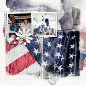Land of the Free Because of the Brave