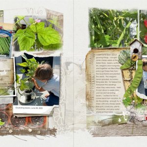anna-aspnes-digital-scrapbook-flower-gardens-notions-fotoinspired-templates-3K Beans