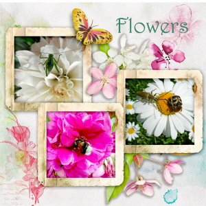 Flowers.jpg