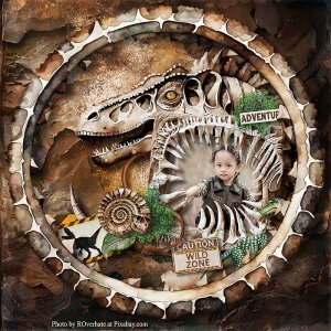 Wild Zone