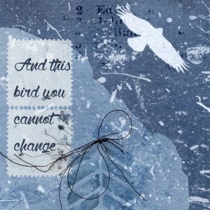 ATC Free Bird