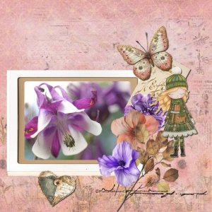 lovely flowers