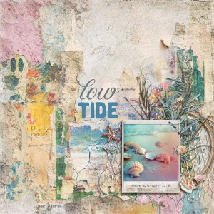 low-tide.jpg