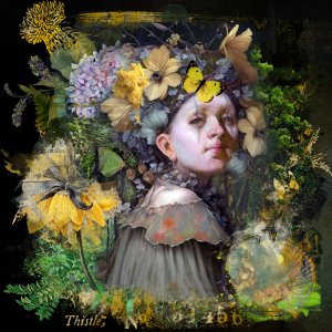 A Day in the Garden