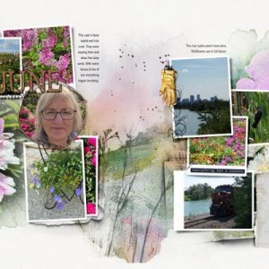 June 2025 - Joy Album