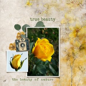 True beauty.jpg