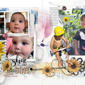 anna-aspnes-digital-scrapbook-flower-gardens-notions-fotoinspired-templates-3K-sunflowers