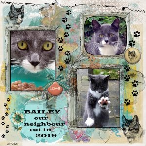 6e - July 2025 Challenge -6- Heritage -Bailey-2019.jpg