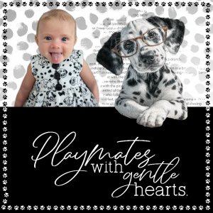 Playmates