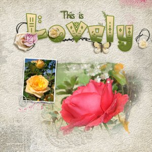 Garden Roses