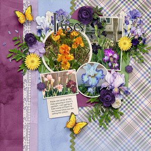 Moms-Irises.jpg