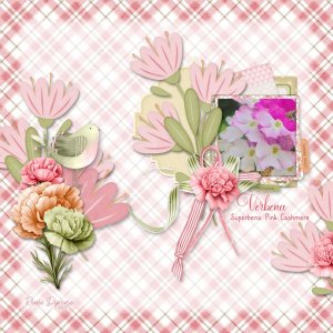 Verbena