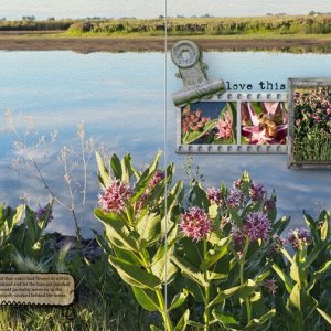 A Floodgate (MVNWR)