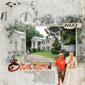 Monthly Challenge #5-2022--Graceland.jpg