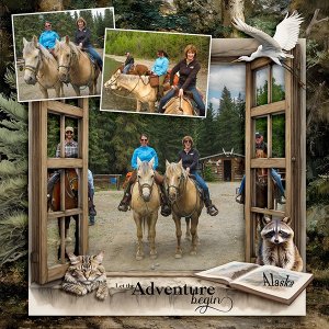 Adventures in Alaska