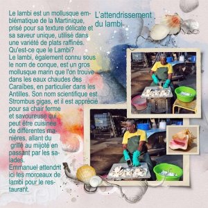 Martinique 2
