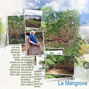 Martinique3