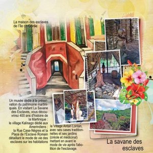 Martinique 5