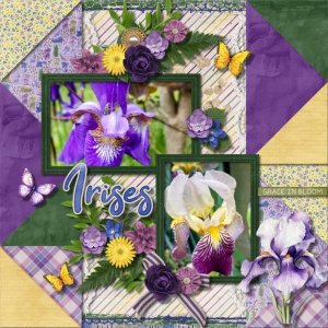 Irises