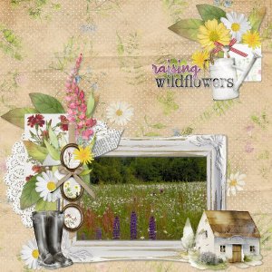 Wildflowers