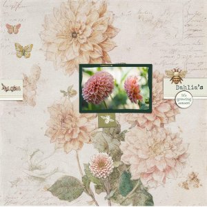 Dahlia's
