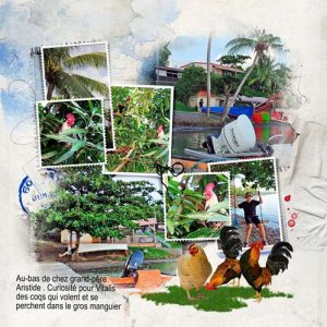 Martinique 8