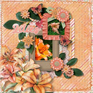 Lillies
