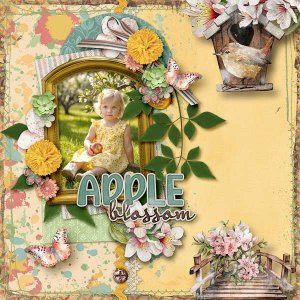 Apple Blossom