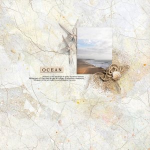 Shoreline